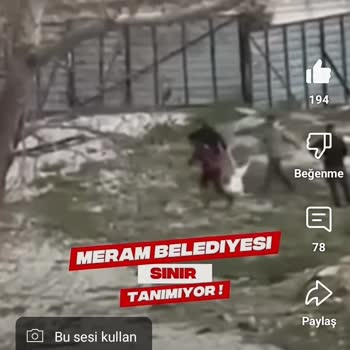 Belediye Barınaklarında Hayvanlara Uygun Yaşam Alanı Sağlanmıyor