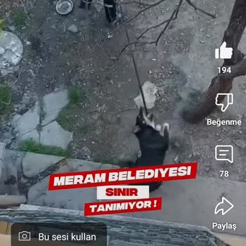 Belediye Barınaklarında Hayvanlara Uygun Yaşam Alanı Sağlanmıyor