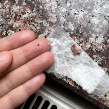 Sipariş Verdiğim Şehriyeden Böcek Çıktı, Bebeğim Tüketti