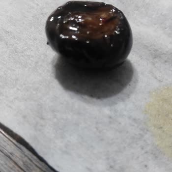 Aldığım Teneke Zeytinlerde Yarım Zeytin Sorunu Yaşadım