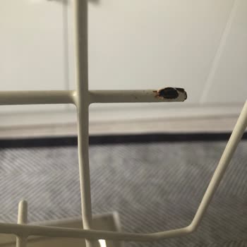 Bulaşık Makinesi Paslanan Sepetler İçin Arçelikten İnceleme Ve Çözüm Bekliyorum