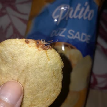 Cipsin İçinde Böcek Çıktı Hijyen Konusunda Endişeliyim