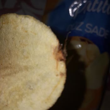 Cipsin İçinde Böcek Çıktı Hijyen Konusunda Endişeliyim