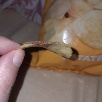 Cipsin İçinde Böcek Çıktı Hijyen Konusunda Endişeliyim