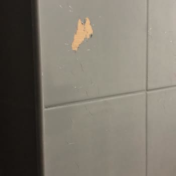 Aqua Reno Boya Uygulamasında Çatlama Ve Soyulma Nedeniyle Mağduriyet