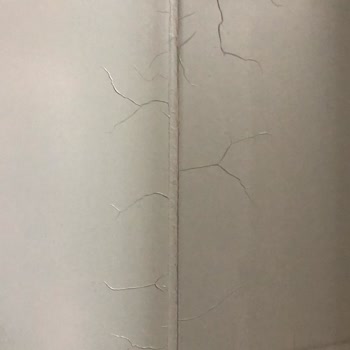 Aqua Reno Boya Uygulamasında Çatlama Ve Soyulma Nedeniyle Mağduriyet