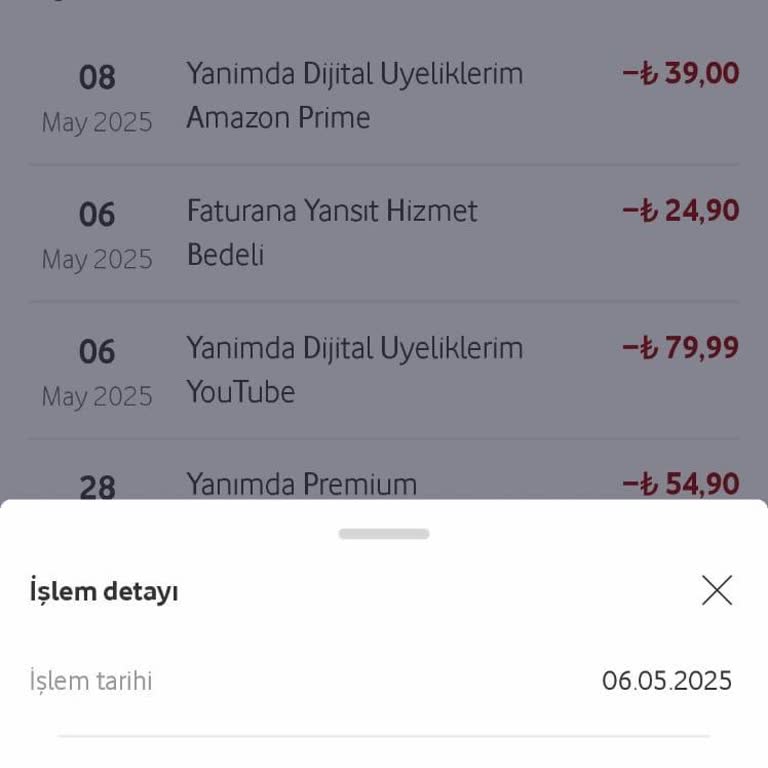Youtube Premium Ödemesi Sonrası Hizmete Erişemiyorum