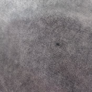 Kusurlu Elbise Ve Tulum İçin Zorlu Değişim Süreci Ve Mağduriyet