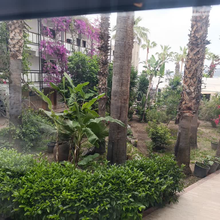 Beklentilerin Çok Altında Bir Otel Deneyimi: Temizlik, Gürültü Ve Hizmet Sorunları