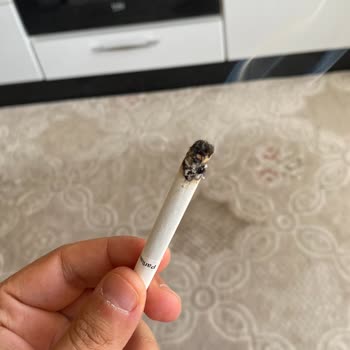 Parliament Sigara Paketlerinde Tütün Ve Kül Sorunu