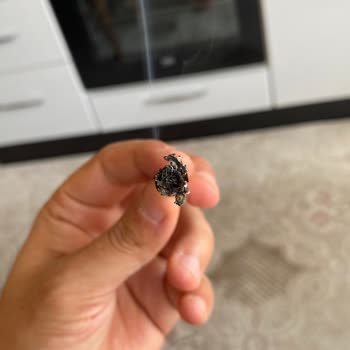 Parliament Sigara Paketlerinde Tütün Ve Kül Sorunu