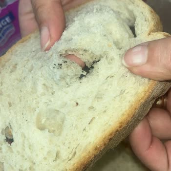 Fırın Trabzon Resmen Halkın Sağlığıyla Oynanıyor