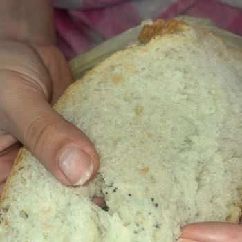 Fırın Trabzon Resmen Halkın Sağlığıyla Oynanıyor