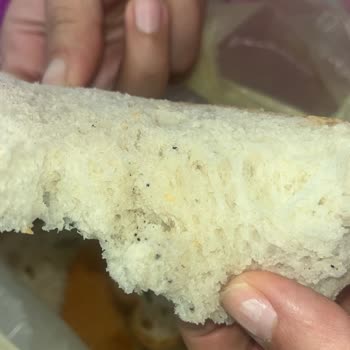 Fırın Trabzon Resmen Halkın Sağlığıyla Oynanıyor