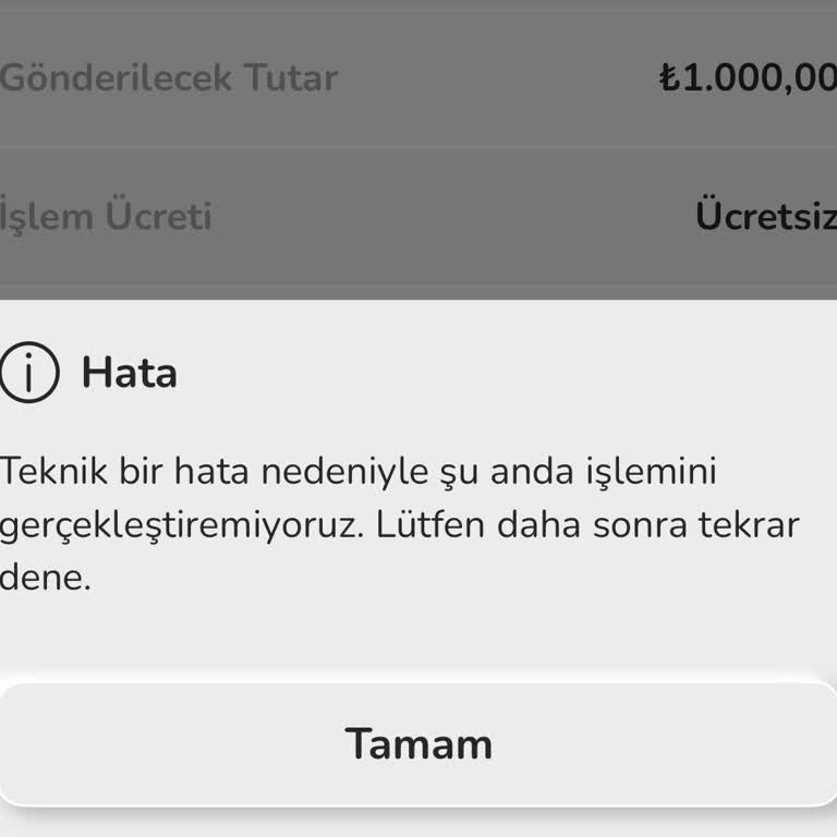 Nays Hesabında Para İşlemleri Yapılamıyor Canlı Destek Çözüm Sunmuyor