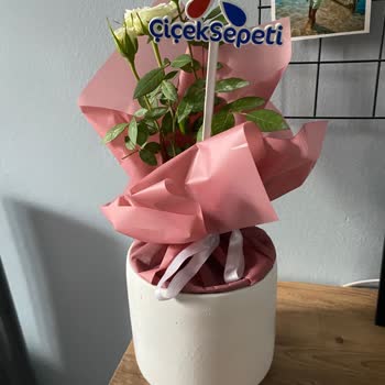 Çiçek İadesinde Müşteri Hizmetlerinin İlgisizliği Mağduriyet Yaşattı