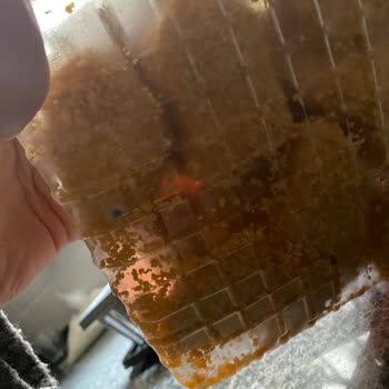 Getir'den Küflü Ürün Ve Kötü Koku Sorunu Tekrarlandı