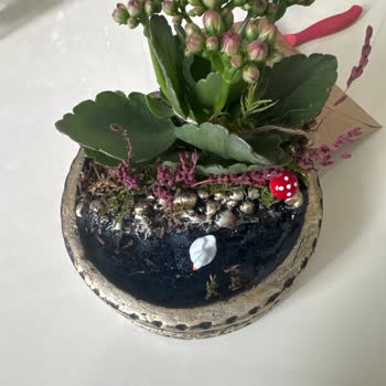 Çiçek Sepeti Teraryum Siparişim Beklediğimden Çok Farklı Geldi!