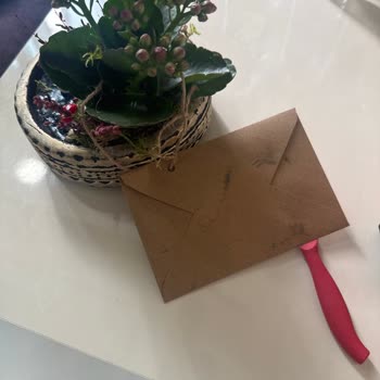 Çiçek Sepeti Teraryum Siparişim Beklediğimden Çok Farklı Geldi!