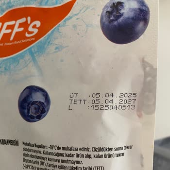 Dondurulmuş Orman Meyvelerinde Kurt Şoku Ve Hijyen Endişesi