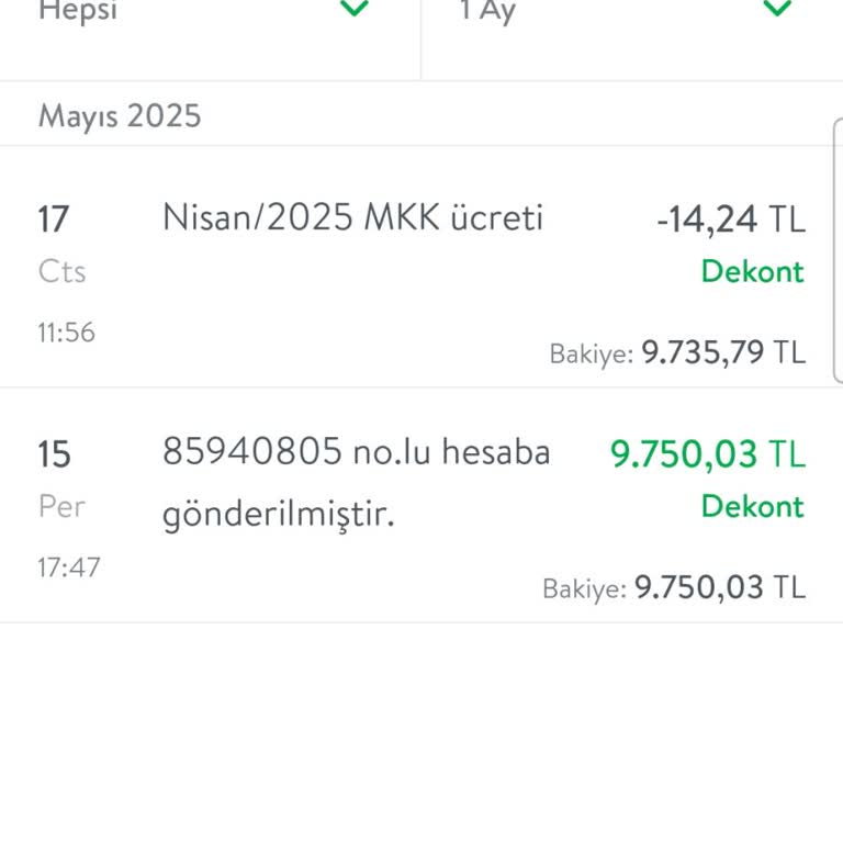 Yatırım Hesabından Sürekli MKK Ücreti Kesintisi