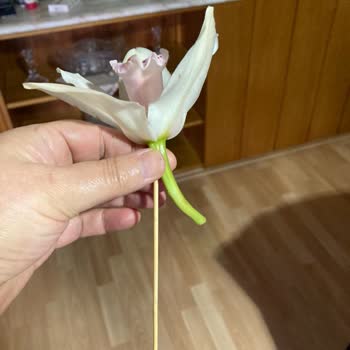 Anneler Günü'nde Geç Teslimat, Eksik Ürün Ve Yetersiz Müşteri Hizmetleri