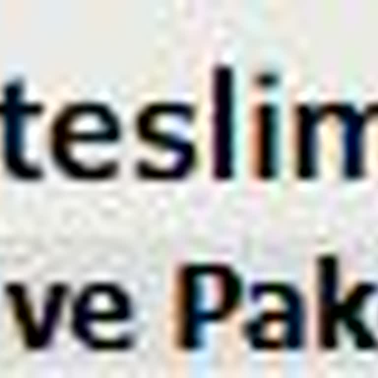 UPS Türkiye Kargomu Yanlış Adrese Teslim Etti, Mağduriyetim Giderilmiyor