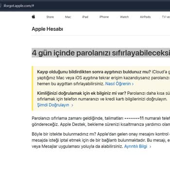 Parola Sıfırlama İçin 4 Gün Beklemek Mağduriyetimi Artırıyor