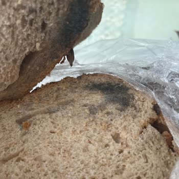 Carrefourdan Aldığım Ekmek Tüketim Tarihinden Önce Küflendi