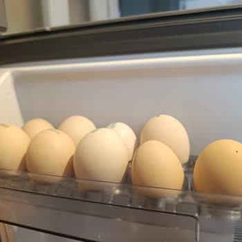 Aldığım Organik Yumurtalarda Boyut Tutarsızlığı Ve Yanıltıcı Ambalaj