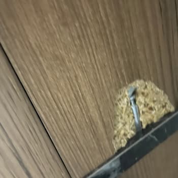 Aldığımız Yatak Odası Takımı Hayal Kırıklığı Yaşattı