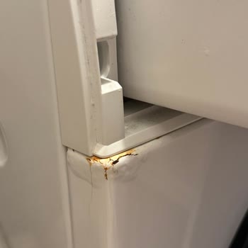 Siemens Çamaşır Makinem Kısa Sürede Paslandı Ve Hayal Kırıklığı Yaşadım