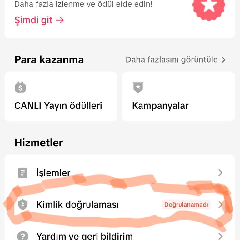 TikTok Hesabım Bir Yıldır Doğrulanmıyor Destek Alamıyorum