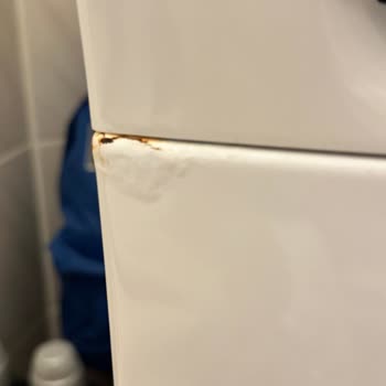 Siemens IQ500 Washing Machine Rusted Within 1.5 Years