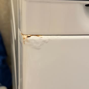 Siemens IQ500 Washing Machine Rusted Within 1.5 Years