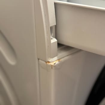 Siemens IQ500 Washing Machine Rusted Within 1.5 Years