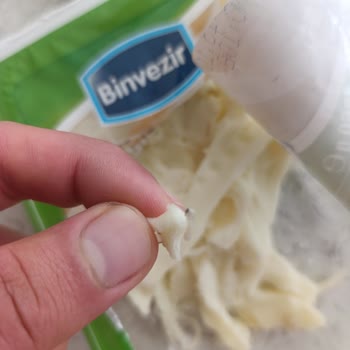 Aldığım Peynirden Ölü Kurt Çıktı