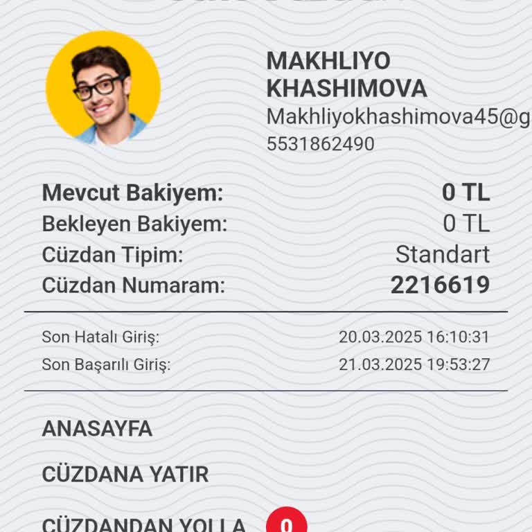 Elektronik Para Şirketinde IBAN Kullanımı Ve Para Aktarımı Sorunu