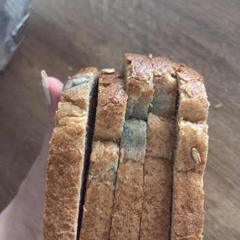 Tarihi Geçmiş Ve Küflü Ekmek Gönderildi, Müşteri Hizmetlerine Ulaşılamıyor