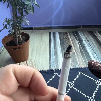 Sigara Kalitesindeki Düşüş Ve Yabancı Maddeler