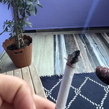 Sigara Kalitesindeki Düşüş Ve Yabancı Maddeler