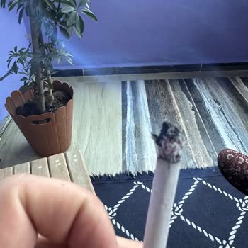 Sigara Kalitesindeki Düşüş Ve Yabancı Maddeler