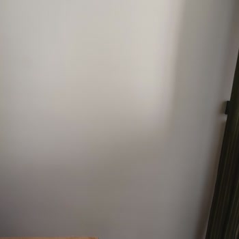 Marshall Boya Pastel Beyaz Lale, Lila Rengi Çıktı!