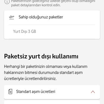 Yurt Dışı İnternet Paketi Kullanımı Görünmüyor, Yüksek Fatura Endişesi Yaşıyorum
