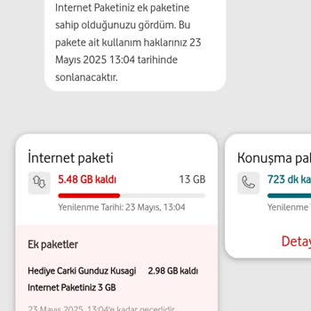 Yurt Dışı İnternet Paketi Kullanımı Görünmüyor, Yüksek Fatura Endişesi Yaşıyorum