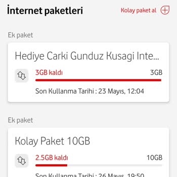 Yurt Dışı İnternet Paketi Kullanımı Görünmüyor, Yüksek Fatura Endişesi Yaşıyorum