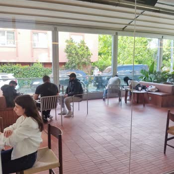 Bağcılar Yürüyüş Yolunda Camlarda Şerit Panel Eksikliği Nedeniyle Yaşanan Kaza