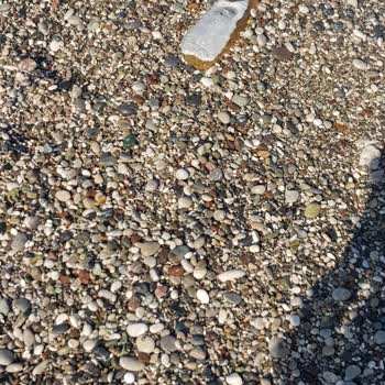 Antalya Konyaaltı Belediyesi Sarısu Plajı'na Giriş Ücreti 100 Lira Ama Temizlik Hizmeti Yok