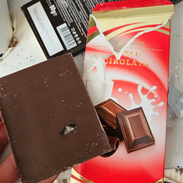 Çikolatadan Kelebek Çıkmasıyla Yaşadığım Büyük Hayal Kırıklığı