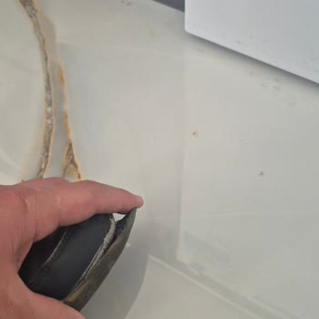 FLO Ayakkabı Lummerjack Şikayeti